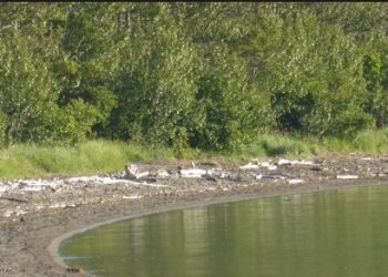 Later That Same Week