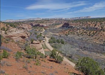 What’s Flyin’ In Zion?