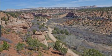 What’s Flyin’ In Zion?