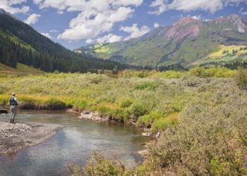 Back In The Valley Again