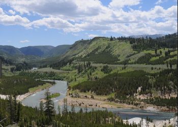 How To Track A Moose (or a Wolf or a Grizzly)