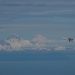 Katmai Flight