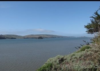 The Salinian Block Unmasked At Last