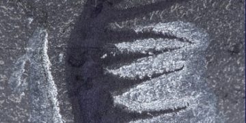 Follow Me To The New Watching For Rocks