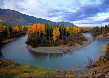 Crossing Into Canada