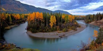 Crossing Into Canada