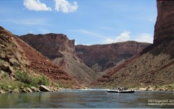 Living the Dream, Day 2 – Peeling Back the Layers