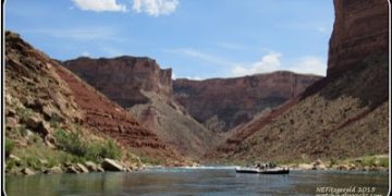 Living the Dream, Day 2 – Peeling Back the Layers