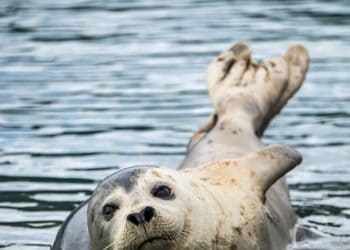 Working For A Living