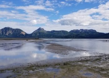 Single Digit Countdown