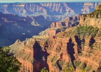 Grand Day On The North Rim