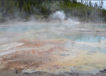Acid Trip – Norris Geyser Basin