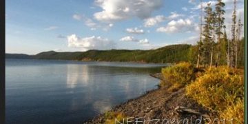 Patrolling Yellowstone – Shoshone Lake