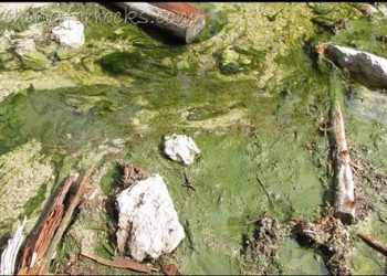 What Not To Do In A Thermal Area