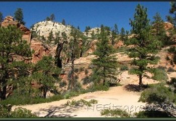 Zion October Afternoon – West Rim Trail