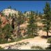 Zion October Afternoon – West Rim Trail