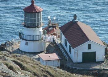 Point Reyes, Gray Whales, And The SAF