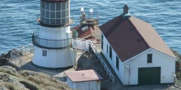 Point Reyes, Gray Whales, And The SAF