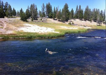 May 2013 Remembered – Back To Yellowstone