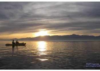 Winter Road Tripping – An Accidental Sea