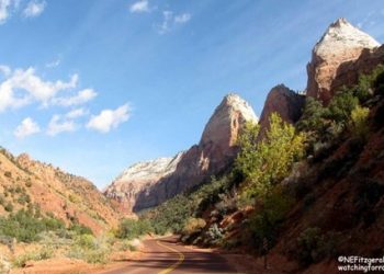 View from the Handlebars