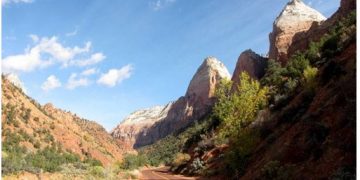 View from the Handlebars