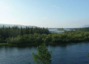 Bad Video And An American Dipper