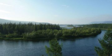 Bad Video And An American Dipper