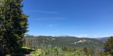 Summer Wildflowers Along An Ice Age Relic
