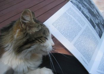 So Amazing And Totally Cool!