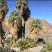 Winter Road Tripping – Forty Nine Palms Oasis