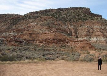 Five Million Years In Six Hours