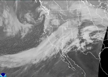 Drenched By The Pineapple Express