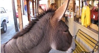 Tweaks and Fidgets In The Blogosphere