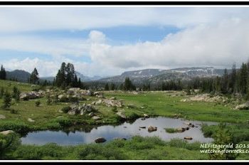 Beyond the Caldera – Back to the Beartooths