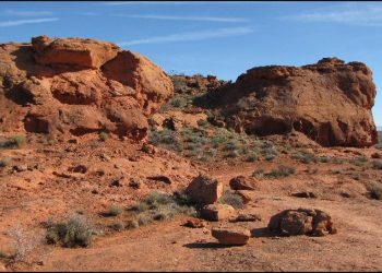 How Did That Get There?