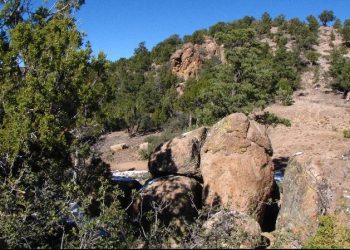 Any Old Neighborhood