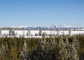 A Yellowstone Winter Adventure – Getting There