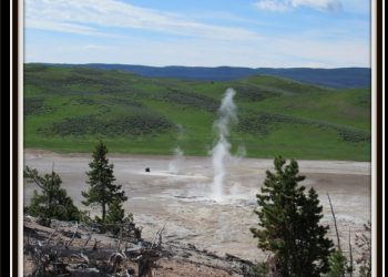 Lesser Known Yellowstone – Desolation in Hayden Valley