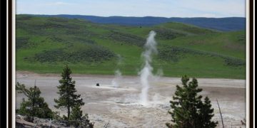 Lesser Known Yellowstone – Desolation in Hayden Valley