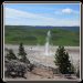 Lesser Known Yellowstone – Desolation in Hayden Valley