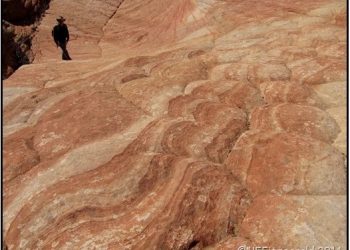 Liesegangen Banding In The Navajo Sandstone