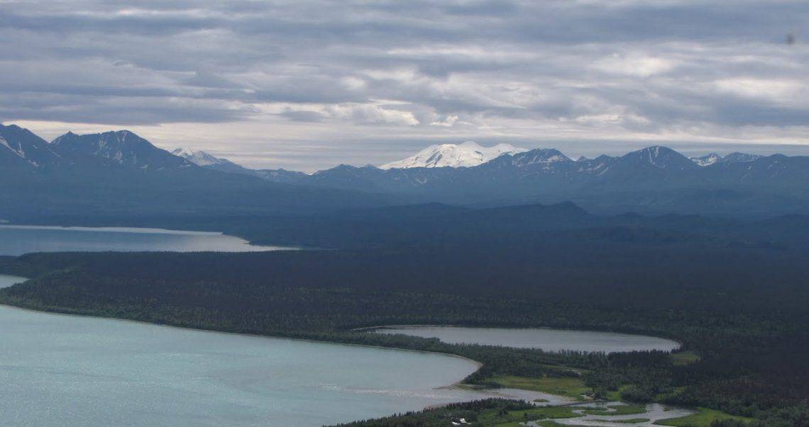 Bitten Nearly Senseless