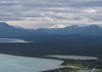 Bitten Nearly Senseless