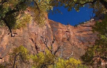Zion Canyon