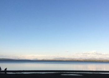 Giving It Up For Now