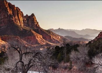 Zion October Afternoon