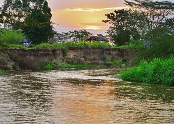 Trumpeting On The River