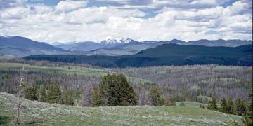 Mt. Washburn – Fifty Million Years Later