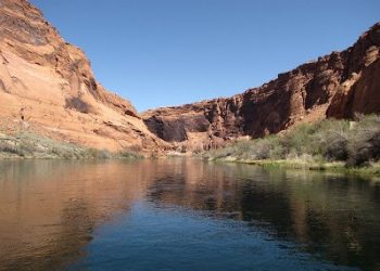 The Whole Enchilada?